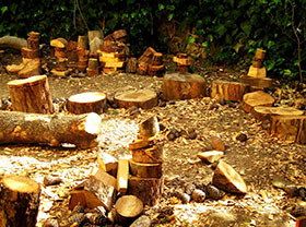 Wood Pellet Plant Production Line, How to Make Wood Pellet