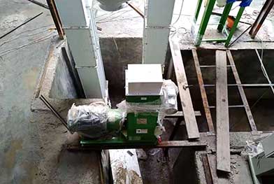 Hong Kong,China New Condition 3-4 T/H Ruminant Animal Feed Pellets Machinery Line