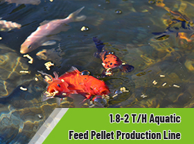 Low Consumpti 1.8-2 T/H Aquatic Fish Feed Pellet Production Line