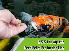 Stable Performance 2.5-5 T/H Aquatic Fish Feed Pellet Production Line