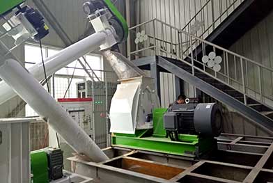 Botswana High Quality 1-2 T/H Animal Feed Pellet Making Machine Line Project