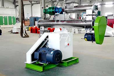 Tanzania Ring Type-horizontal of 1-2 T/H Feed Pelletizing Machine Project