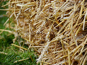 Straw Pellet Plant Production Line