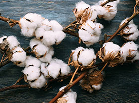 Cotton Stalk Pellet Plant Production Line