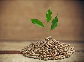 Biomass Pellet Plant Production Line, How to Make Biomass Pellet