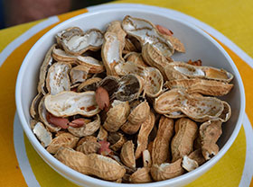 Peanut Shell Pellet Plant Production Line