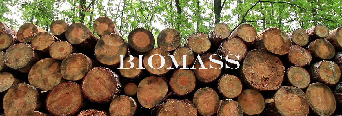 Biomass