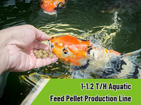 Easy to Maintain 1-1.5 T/H Aquatic Fish Feed Pellet Production Line