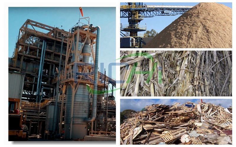 Biomass Wood Pellet Fuel Production Line Project