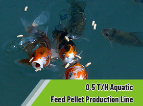 Easy to Handle 0.5 T/H Aquatic Fish Feed Pellet Production Line