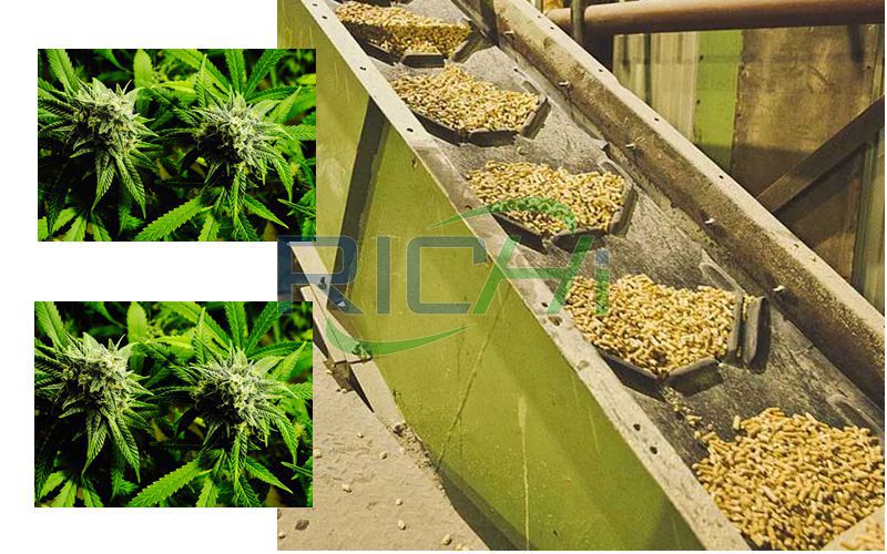 How to Use Hemp to Make Poultry Feed Pellets?