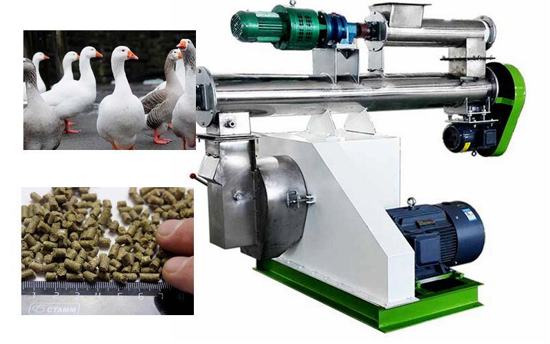 Poultry Feed Pellet Making Machine